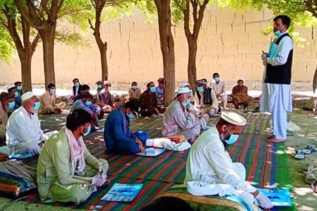 آغاز طرح آموزش مقابله با ویروس کرونا برای جلوگیری از زیان به تولیدات کشاورزی