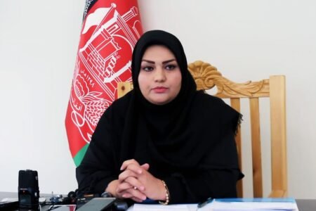 مستوفیت ولایت هرات از جمع‌آوری نزدیک به سه میلیارد عواید ملی خبر داد