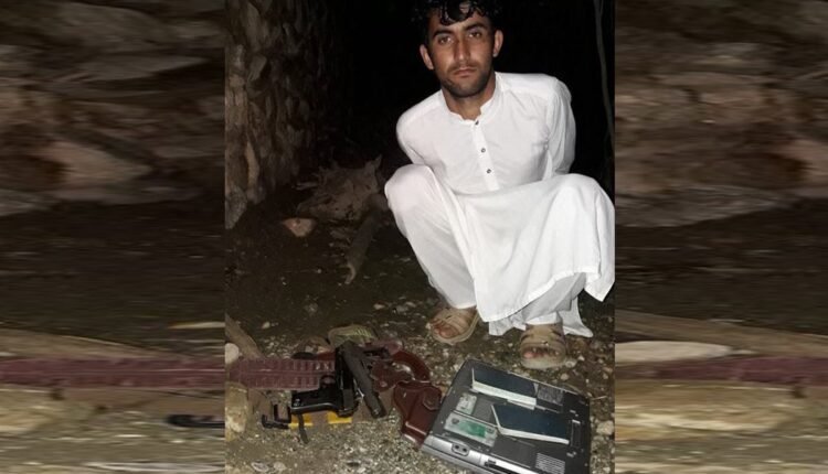 طراح دانشگاه کابل min