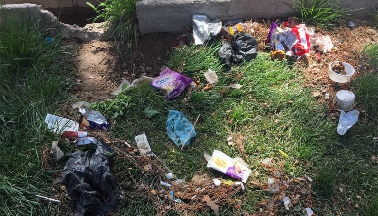 توجهی به فضای سبز و حفظ محیط زیست min