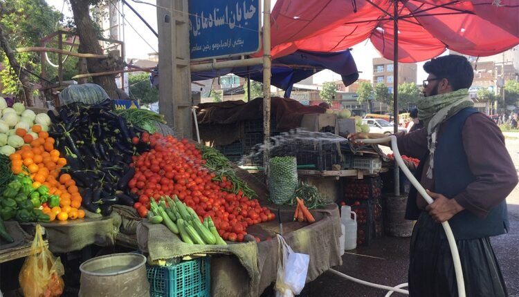 توجه اداره شهرداری لوحه ای که نصب کردید در حال ناپدید شدن است min