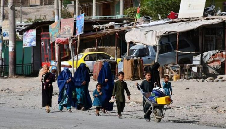 در پلخمری min