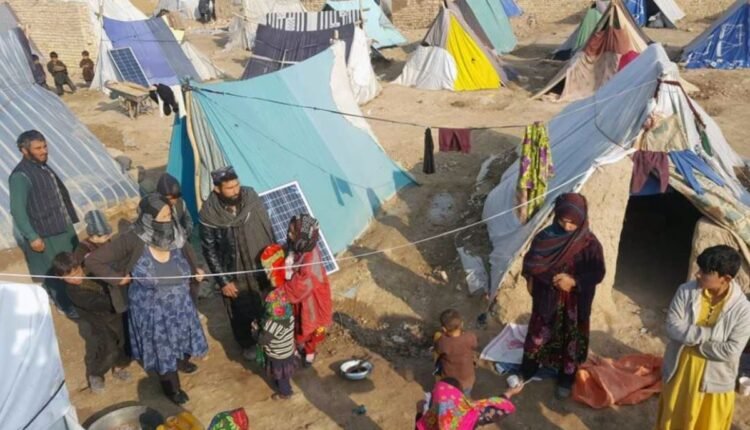 شده گان در افغانستان min