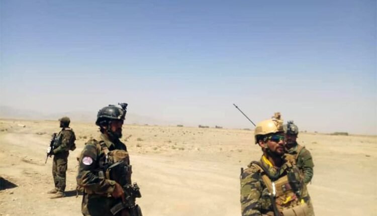 24 ساعت گذشته 81 پیکارجوی طالب کشته شدند min