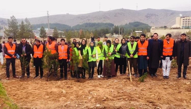 شانی در هرات min