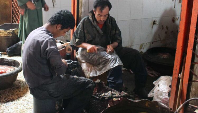 بهداشتی و سلاخی های منطقه درب قندهار min