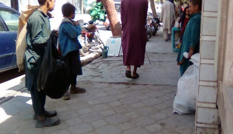 زباله گرد و خطراتی که آنها را تهدید می کند