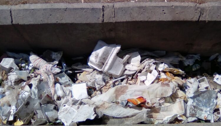 پروایی بزرگتر از این که به فکر محیط زیست خود نباشیم