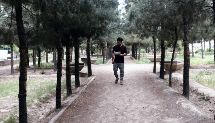 استفاده مفید از زمان با سوق یافتن به سمت مطالعه