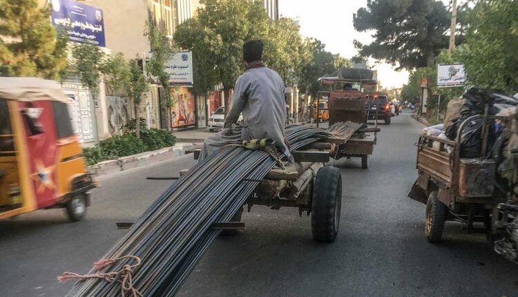 سایه بی توجهی به قاعده و قانون