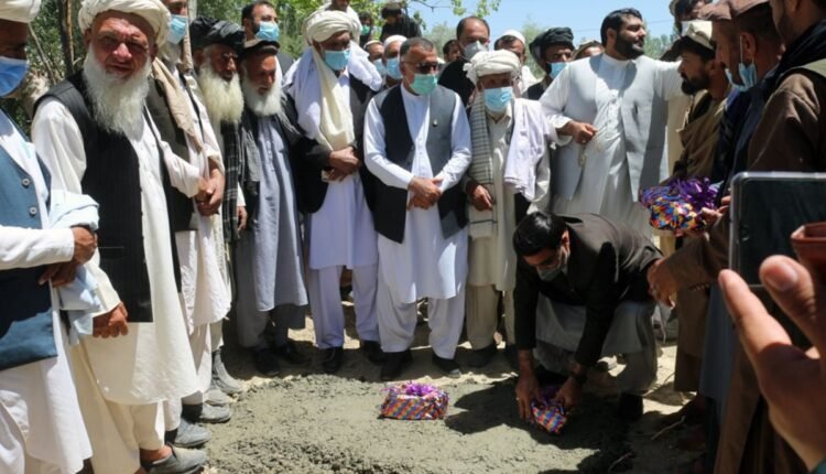 زراعت پکتیا min