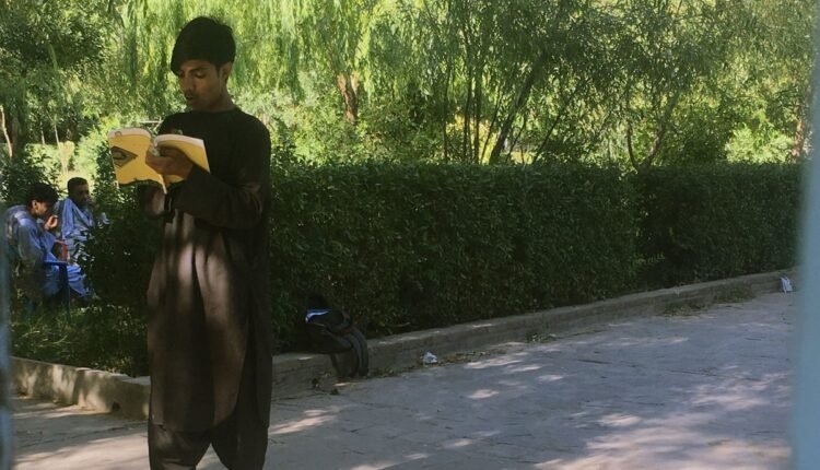 عکس با دو محتوای گوناگون