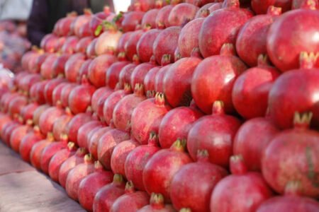 باغ های قندهار به «خانه معنوی» انار معروف است. انار قندهاری را «بهترین انار جهان» نیز می نامند